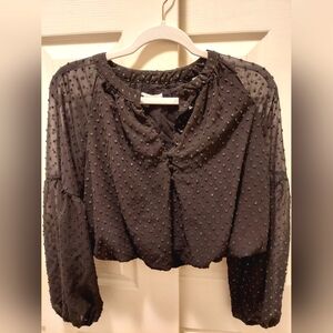 Long Sleeve Sheer Black Blouse